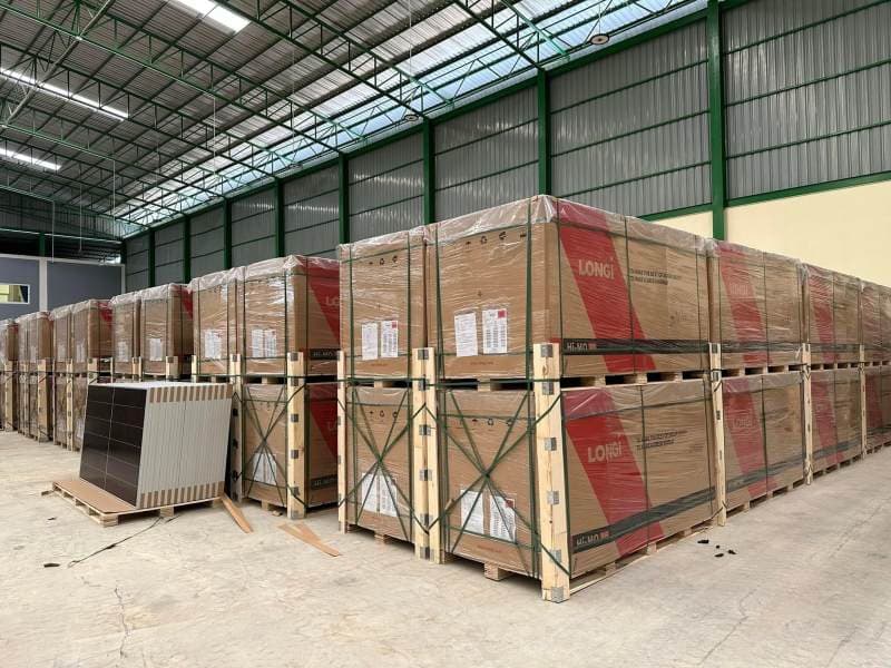 Cartons labelled and staged for despatch